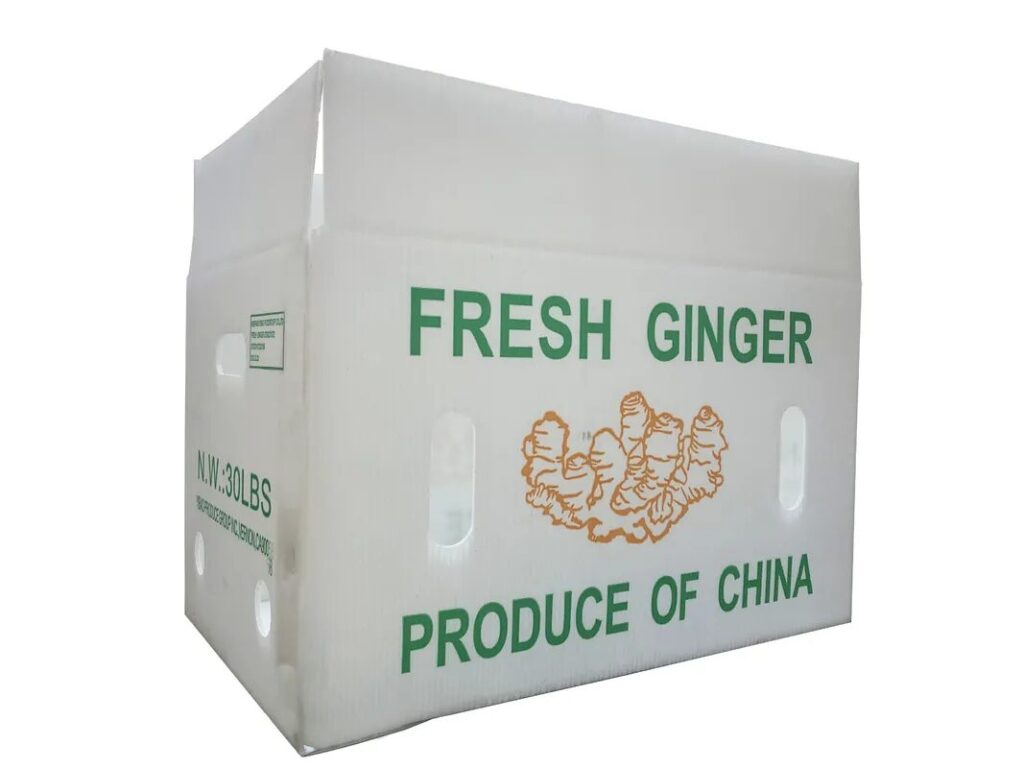 PP Packing Box 1