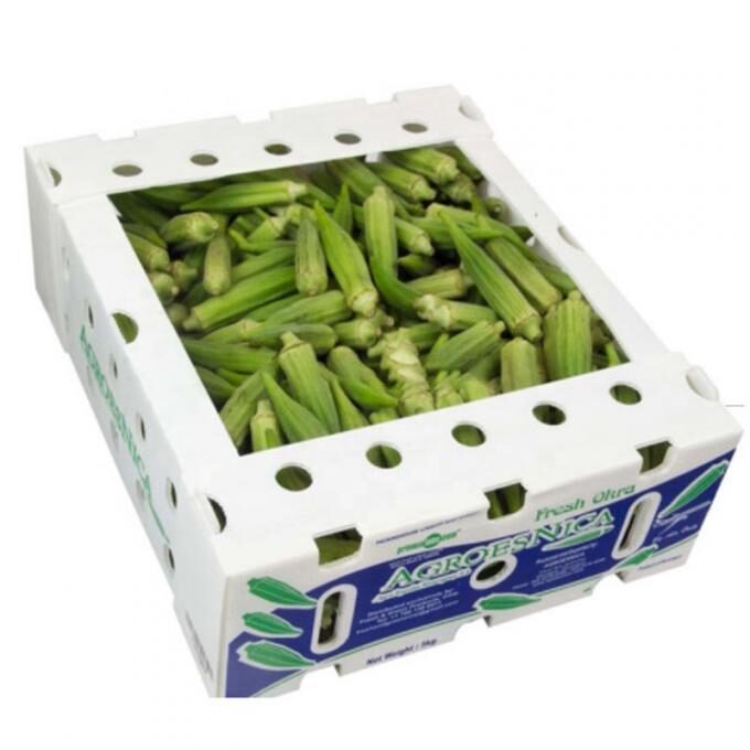 PP Packing Box 2