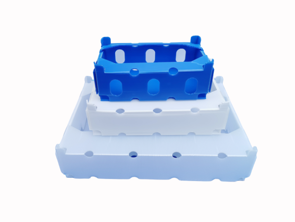 Vegetable Corrugated Plastic Box-2