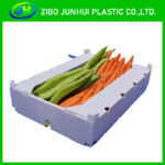 Vegetable Corrugated Plastic Box