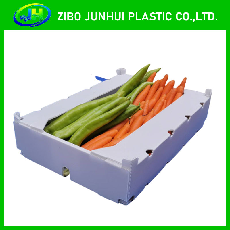 Vegetable Corrugated Plastic Box